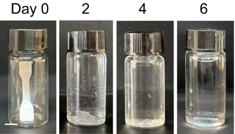 HI TECH -“LIVING PLASTIC” CAN DEGRADE WITHIN DAYS The Chinese University of Hong Kong’s self-destroying plastic in action. Photo: The Chinese University of Hong Kong