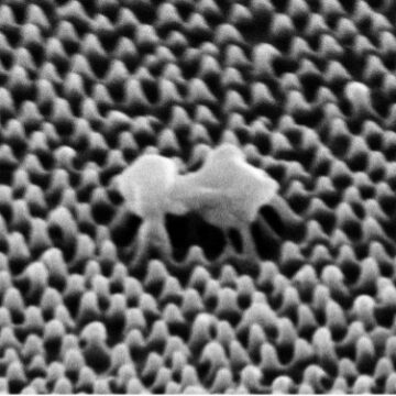 Nano-textured film displays a scientific breakthrough in antimicrobial materials designed to combat the spread of viruses.