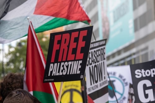 Signs and Flags at a pro-Palestinian demonstration, part of ongoing global activism regarding the conflict with some protestors specifically calling for an end to the war in Gaza, focusing on humanitarian issues like starving Gaza.