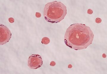 A 3D illustration or digital rendering of living cells. A 3D illustration or digital rendering of living cells.
