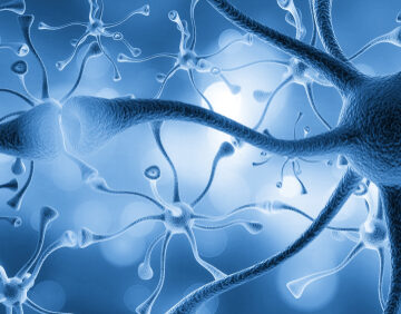 This image depicts a complex neural network, showcasing how nerve cells connect to transmit signals throughout the body.