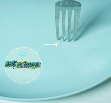 A fork touching a plate representing a concept of microplastics contaminating food. A fork touching a plate representing a concept of microplastics contaminating food.