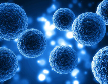 Human,Cell,Molecule BIOENGINEERS REPLICATE LIVING CELL