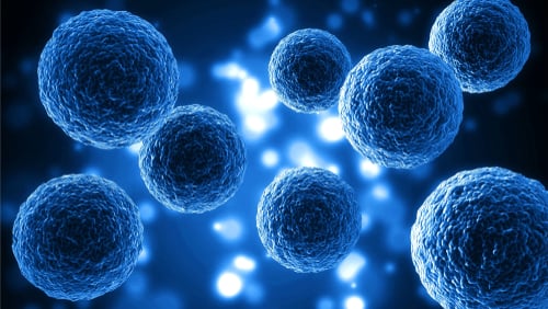 Human,Cell,Molecule BIOENGINEERS REPLICATE LIVING CELL