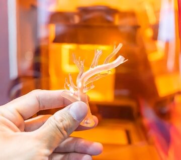 A hand holding a 3D-printed model of a human blood vessel, or vascular structure, often produced for medical simulation. A hand holding a 3D-printed model of a human blood vessel, or vascular structure, often produced for medical simulation.