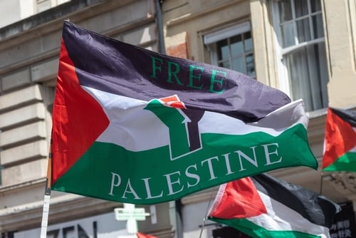 A modified variant of the Palestinian flag adorned with protest symbols, captured during a demonstration. A modified variant of the Palestinian flag adorned with protest symbols, captured during a demonstration.