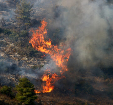 ISRAEL IS DELIBERATELY STARTING WILDFIRES IN SOUTHERN LEBANON, REPORT SAYS