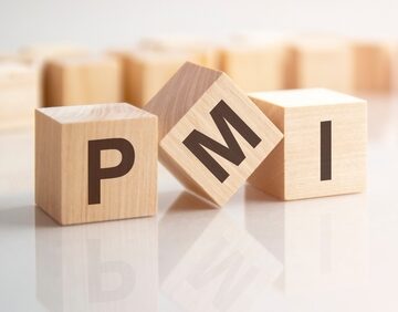 Wooden blocks on a table spelling "PMI". Wooden blocks on a table spelling "PMI".