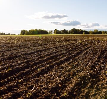 A freshly plowed farm field with dark, tilled soil and parallel furrows prepared for planting. A freshly plowed farm field with dark, tilled soil and parallel furrows prepared for planting.