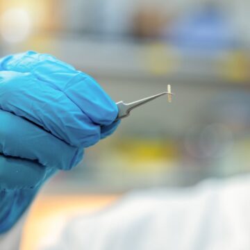 The injectable electronic pain killer. Photo: New York University Abu Dhabi